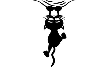 Наклейка кошка на машину
