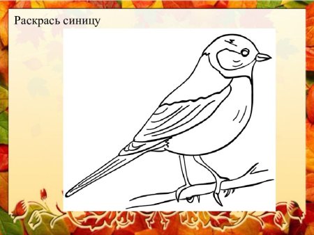 Трафарет синички для рисования