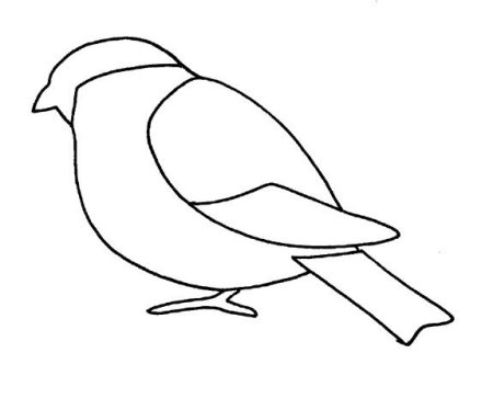 Раскраска синичка в средней группе