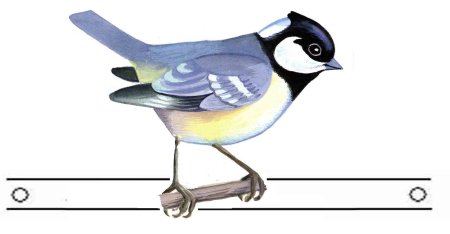 Маска птички синички