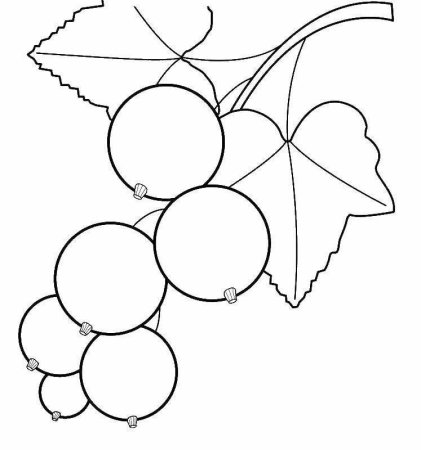 Смородина раскраска для детей