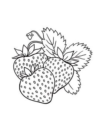 Ягоды раскраска для детей