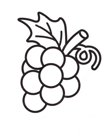 Виноград раскраска