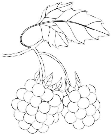 Малина раскраска