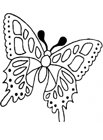 Бабочка трафарет для раскрашивания