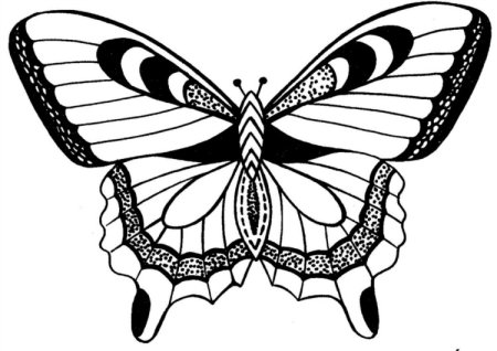 Шаблоны бабочек из пластиковых бутылок