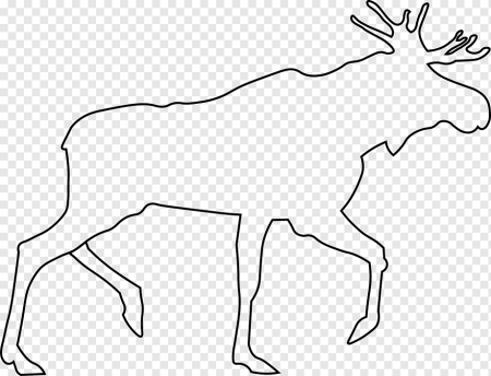 Трафареты диких животных