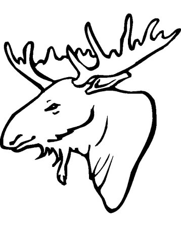 Голова лося для выжигания