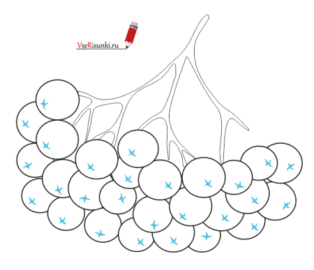 Нарисовать гроздь рябины для детей