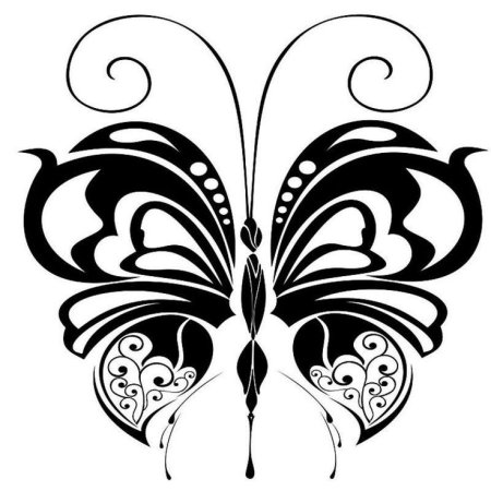 Трафарет красивой бабочки