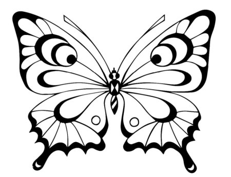 Раскраска "бабочки"