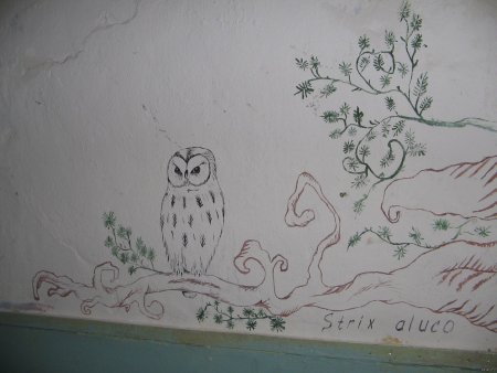 Красивые рисунки на стену в комнате на бумаге