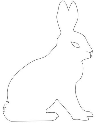 Заяц контур сзади