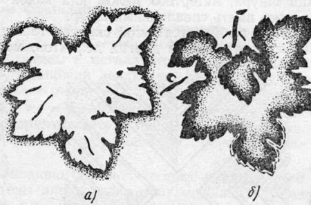 Прямые и обратные трафареты