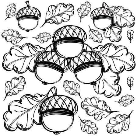 Трафареты желудей и шапок