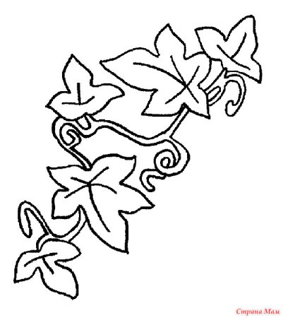 Трафарет плющ