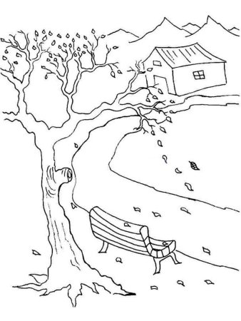 Парк раскраска для детей