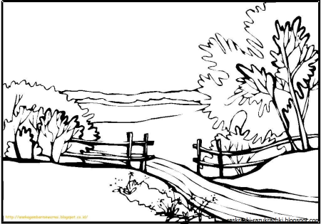 Раскраска деревья в лесу