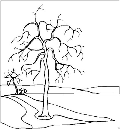 Раскраска осенний лес