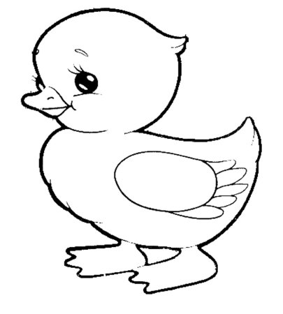 Утёнок раскраска для детей