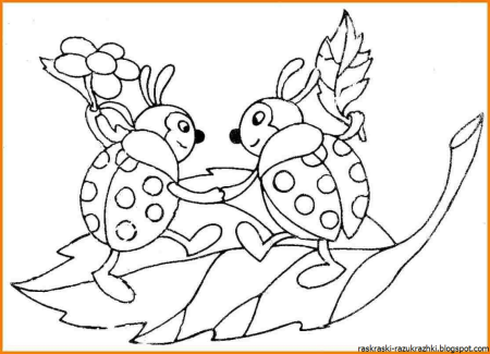 Насекомые. Раскраска