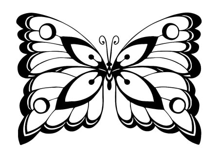 Картинка бабочка раскраска