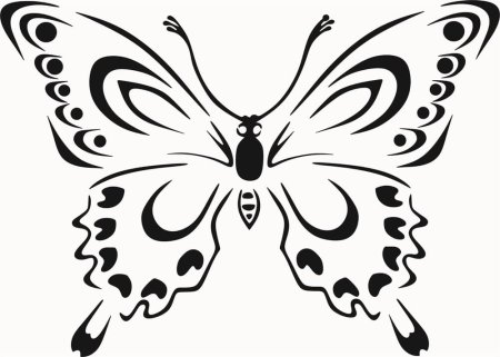 Раскраска "бабочки"