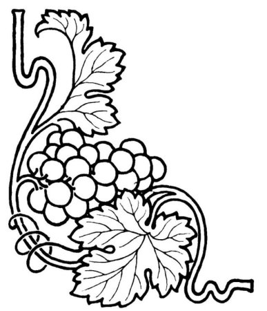 Виноградная лоза орнамент Ренессанс