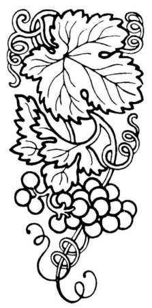 Виноградная лоза DXF