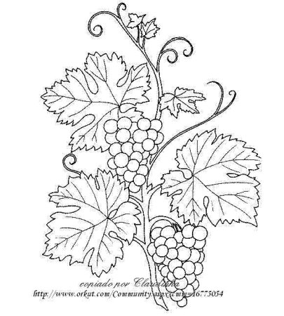 Виноград для выжигания