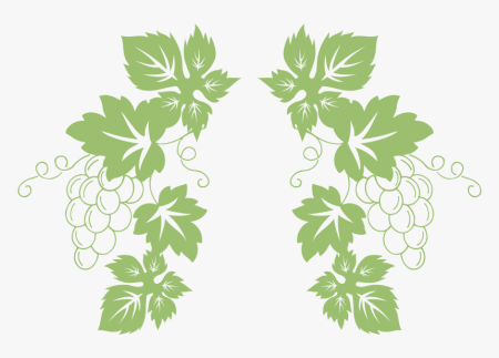 Виноград лоза вектор