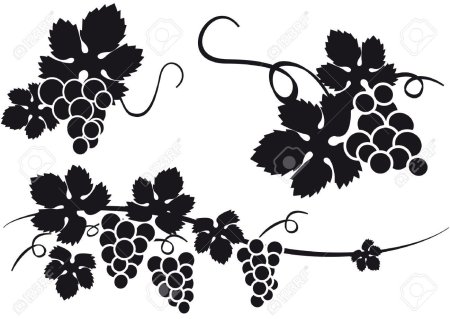 Виноград силуэт