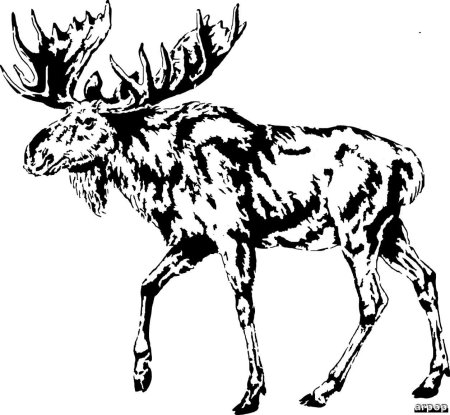 Трафареты для выжигания по дереву