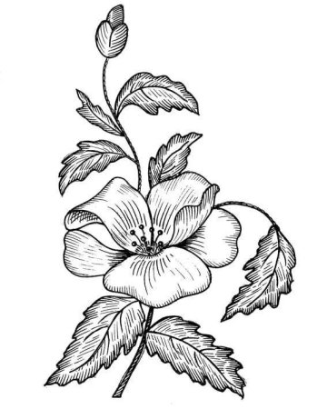 Эскизы для вышивки гладью