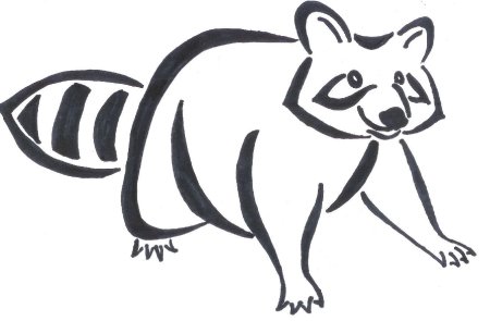 Енот для выжигания