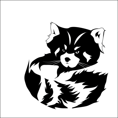 Енот тату эскиз черно белый