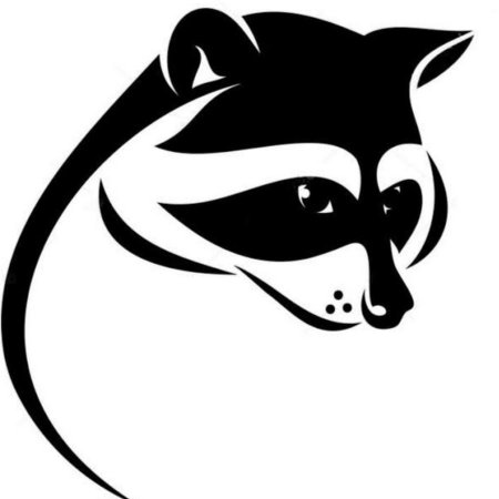 Енот контурный рисунок