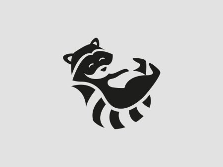 Енот стилизация