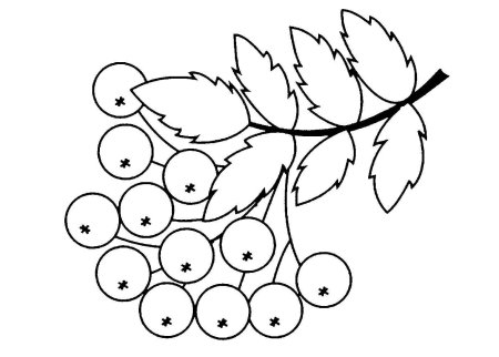 Ветка рябины раскраска для детей