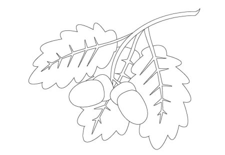 Лист дуба трафарет