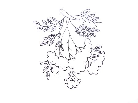 Ветка рябины раскраска для детей
