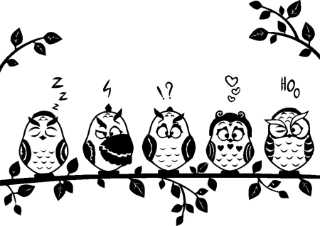 Веселые птички на ветке