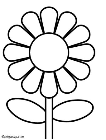 Раскраска цветочек