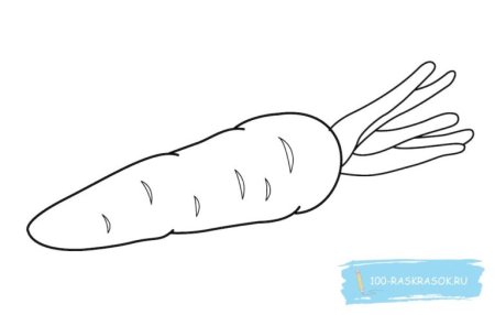 Морковь раскраска для детей