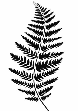 Щитовник контур