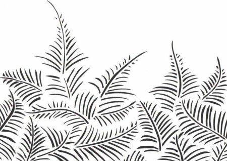 Папоротник раскраска