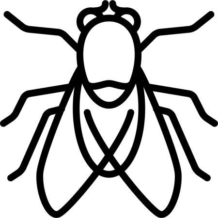 Пиктограмма насекомые