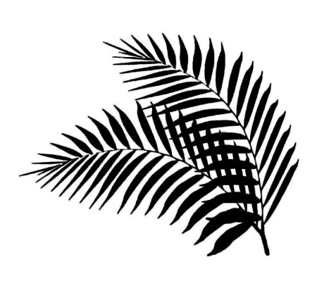 Щитовник контур