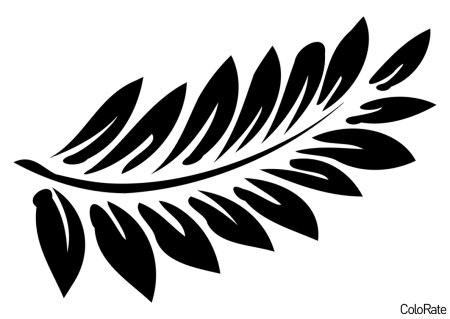 Лист папоротника раскраска