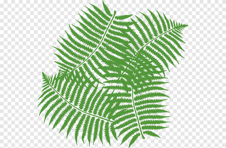 Стилизованная ветка папоротника